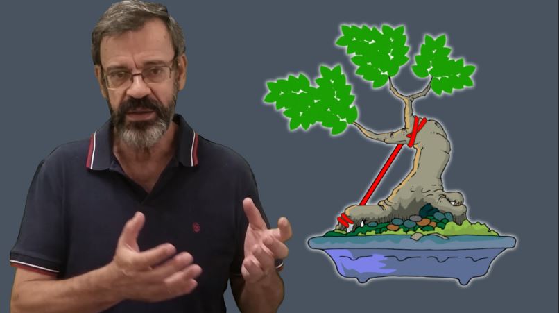 Deus Bonsai – a origem da expressão